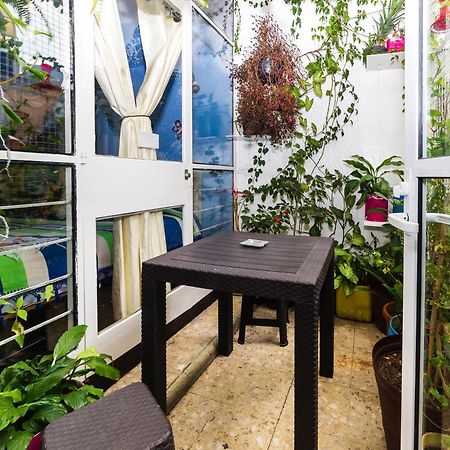Casa Itzae B&B Polanquito Dog Friendly Mexico City Exteriör bild