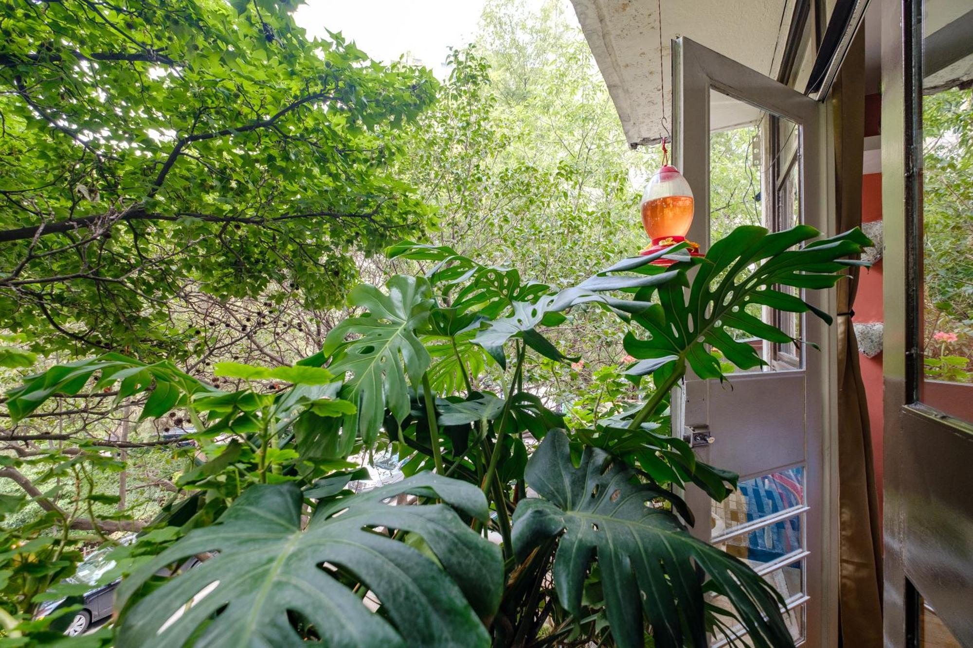 Casa Itzae B&B Polanquito Dog Friendly Mexico City Exteriör bild