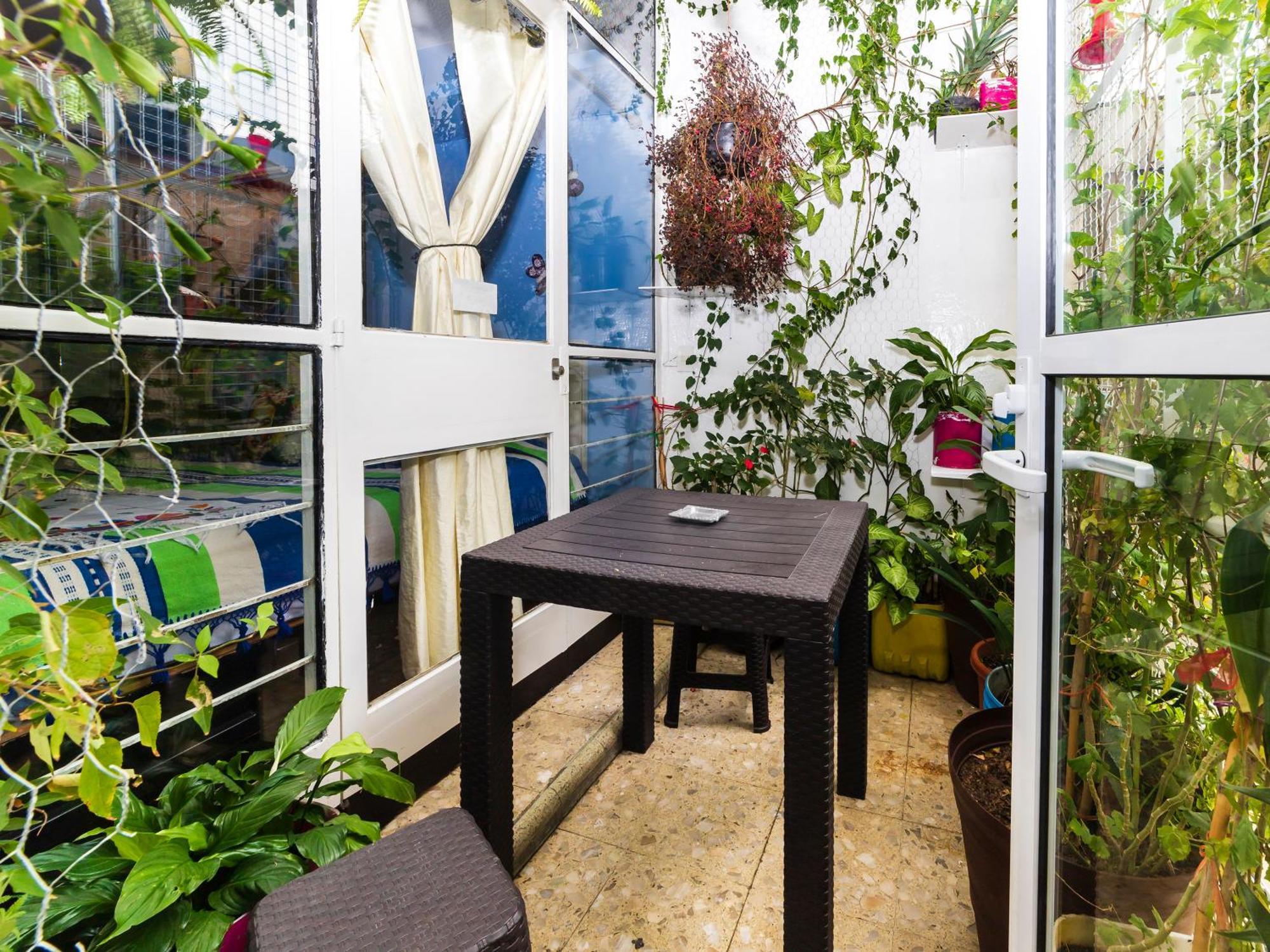 Casa Itzae B&B Polanquito Dog Friendly Mexico City Exteriör bild