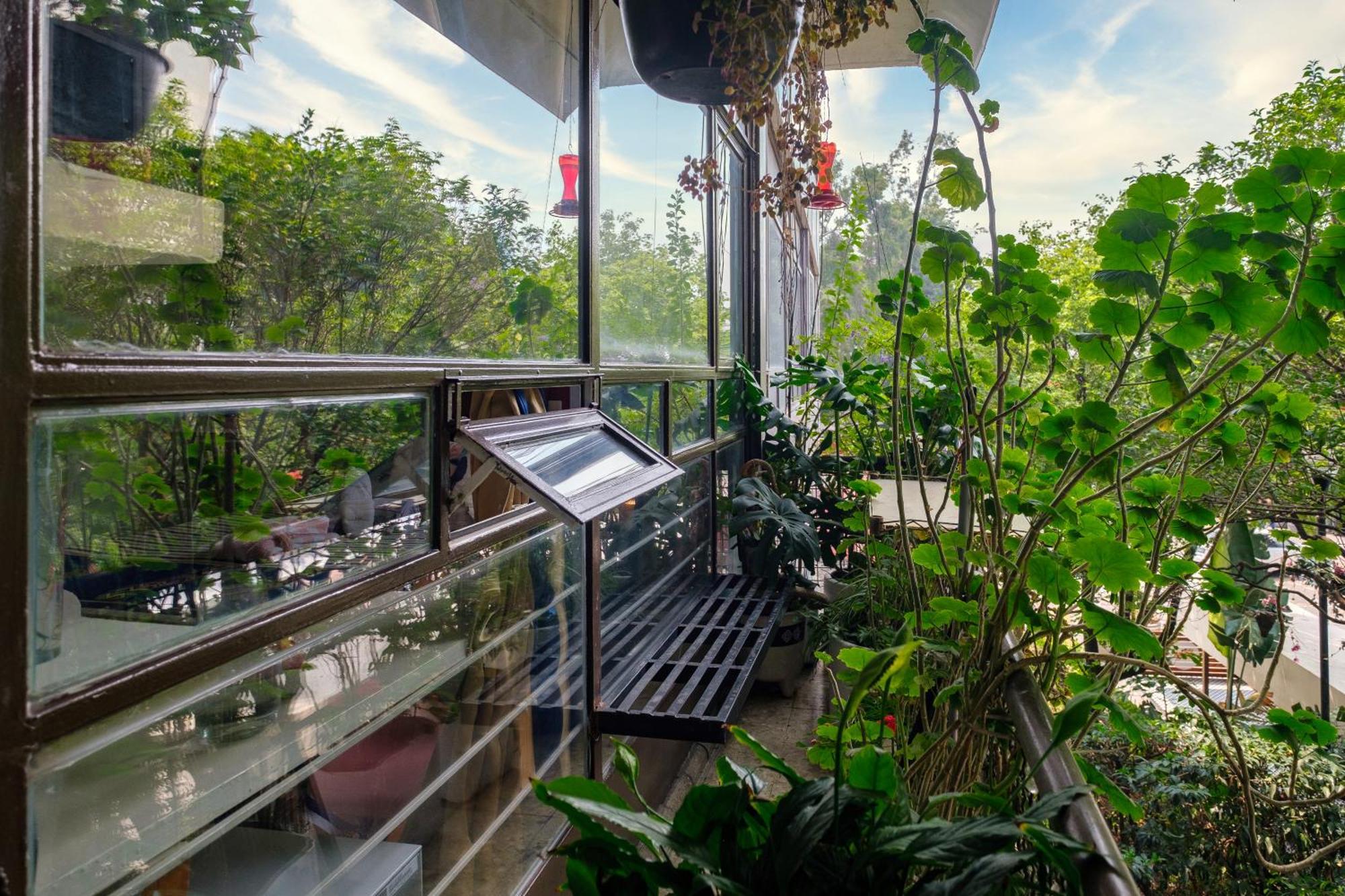 Casa Itzae B&B Polanquito Dog Friendly Mexico City Exteriör bild