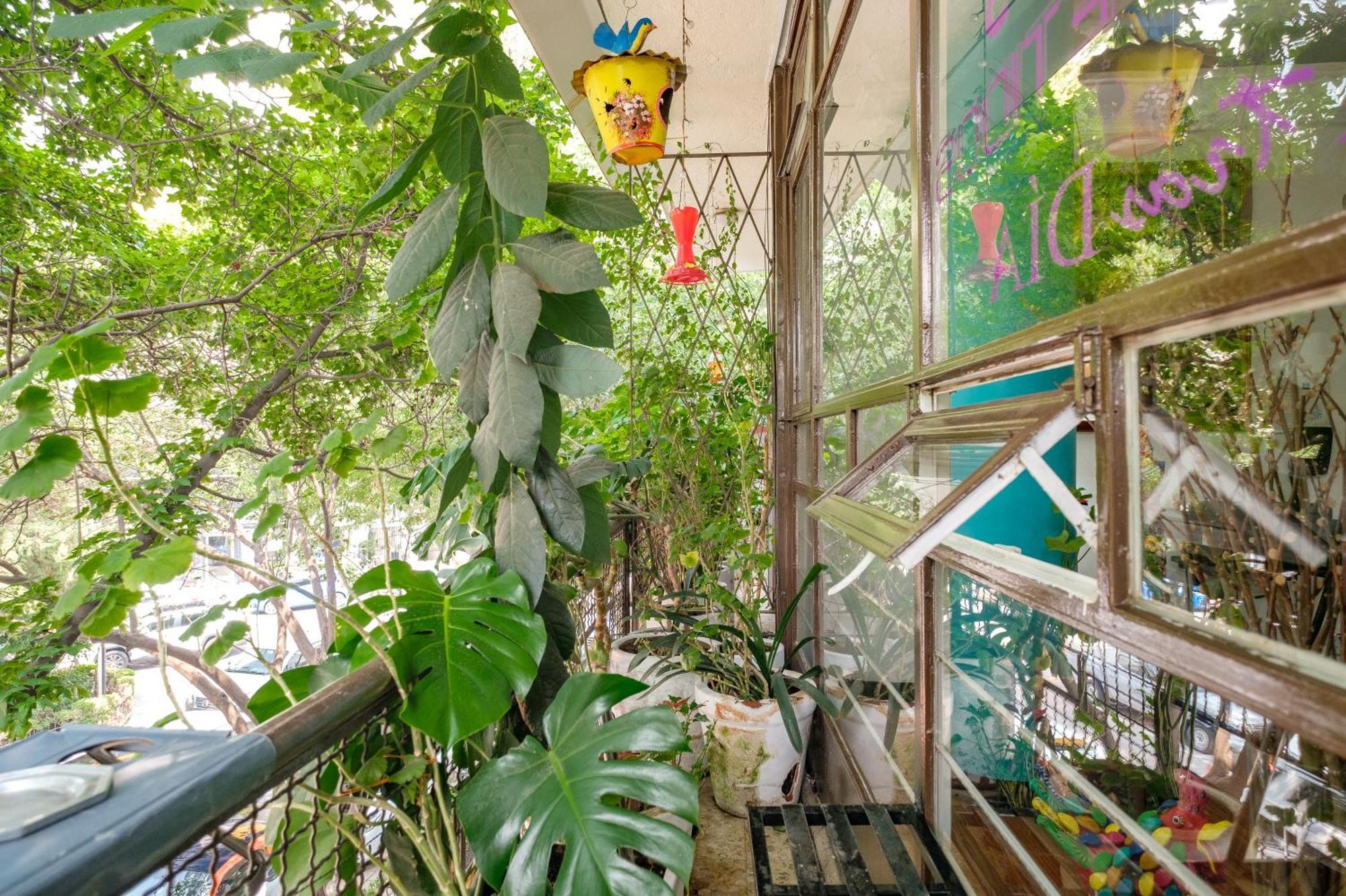 Casa Itzae B&B Polanquito Dog Friendly Mexico City Exteriör bild