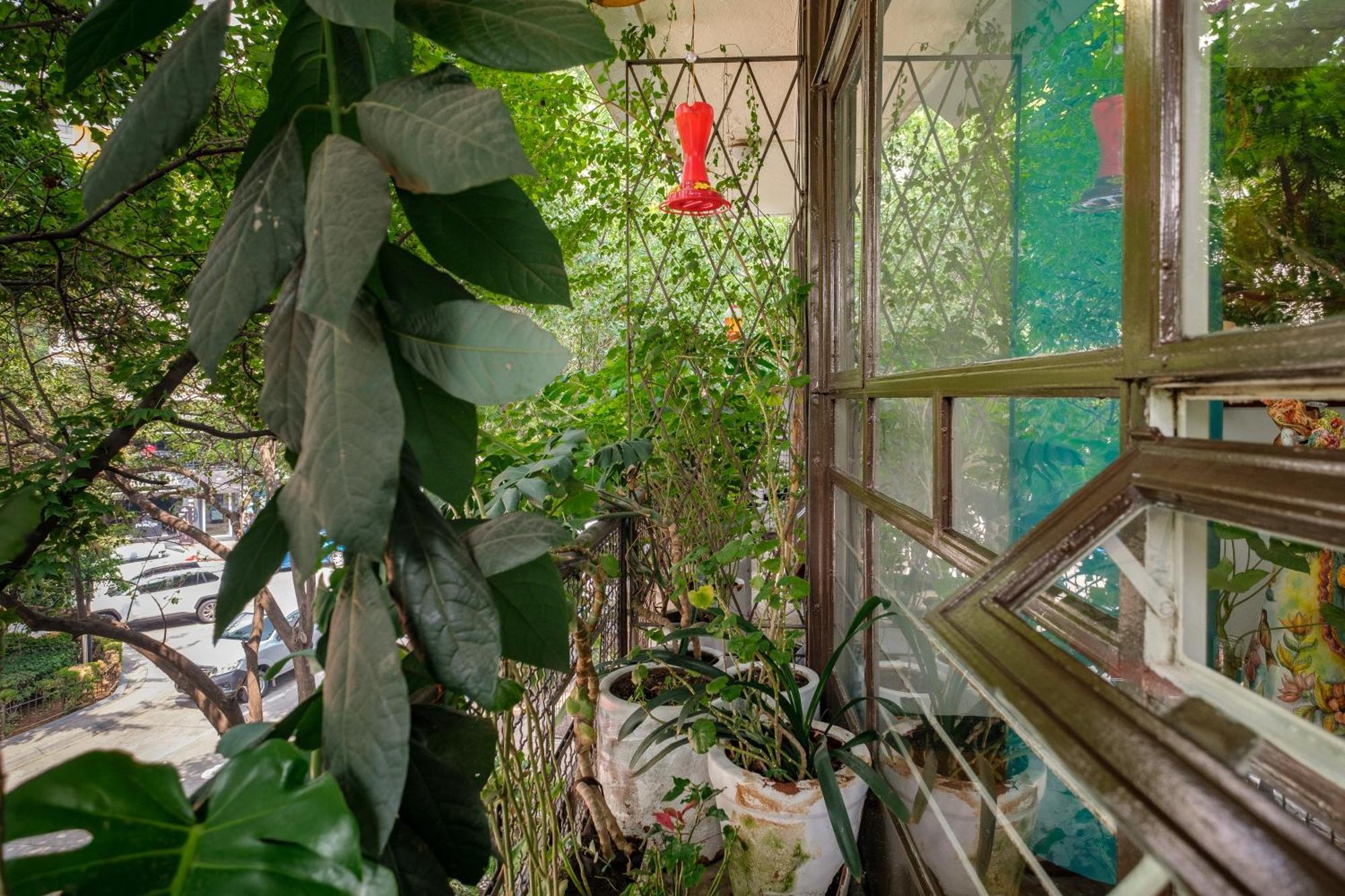Casa Itzae B&B Polanquito Dog Friendly Mexico City Exteriör bild