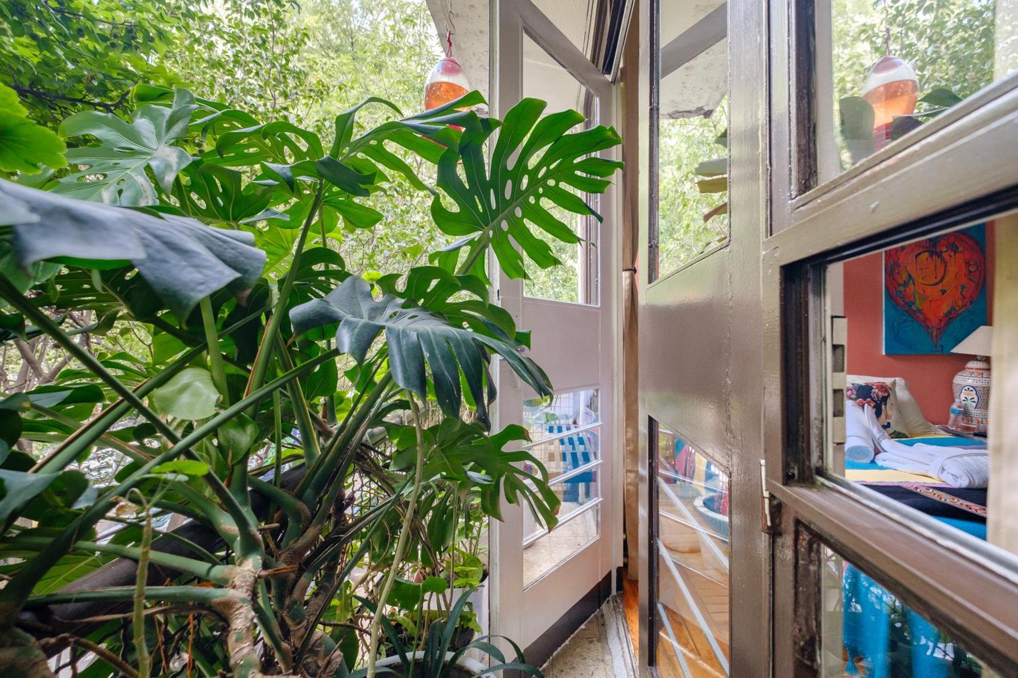 Casa Itzae B&B Polanquito Dog Friendly Mexico City Exteriör bild